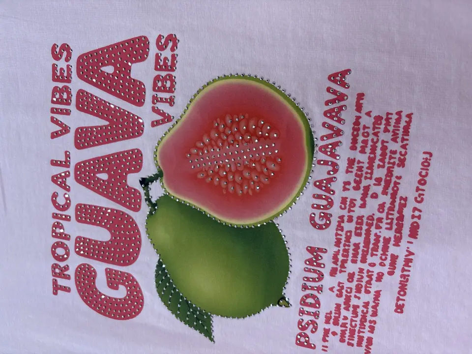 Blusa guayaba