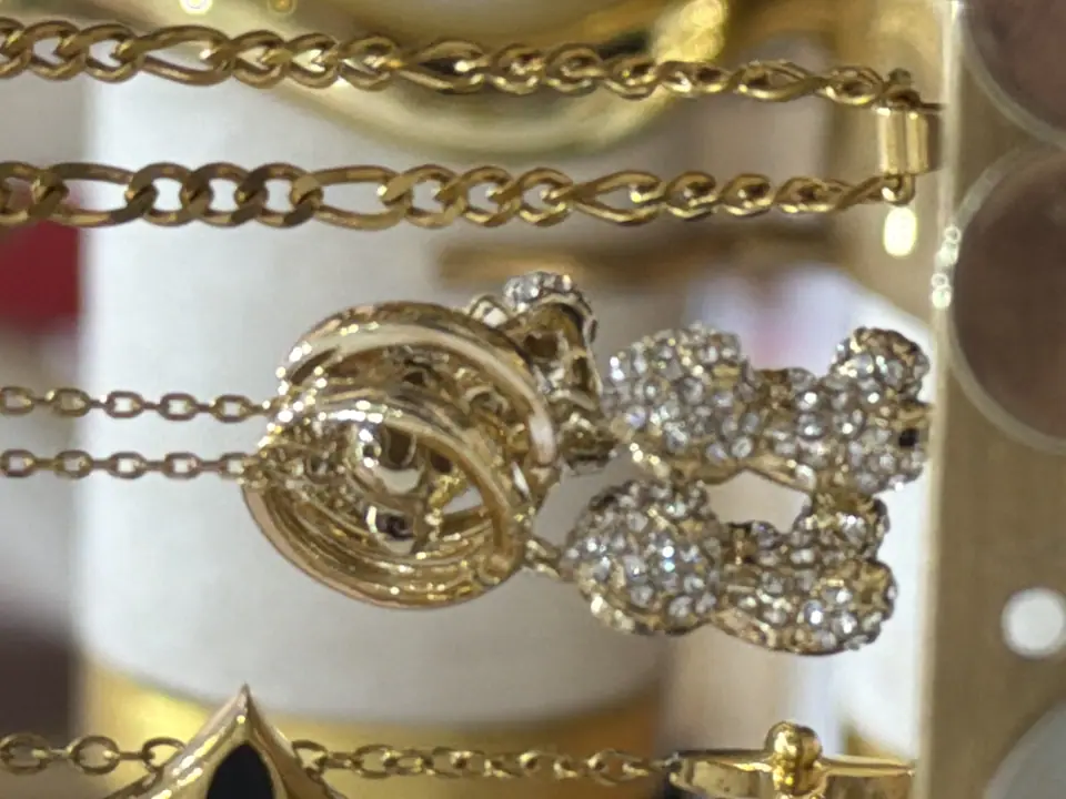 Conjunto cadena oso