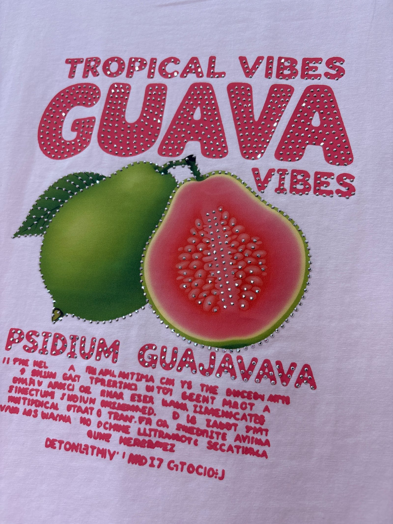 Blusa guayaba